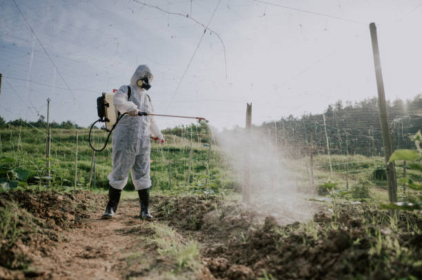 Best Best Pest Control Companies  in Tega Cay, SC