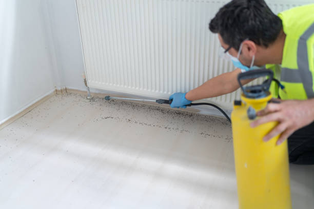 Best Termite Control Services  in Tega Cay, SC